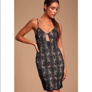 Avianna Black and Nude Lace Bodycon Dress